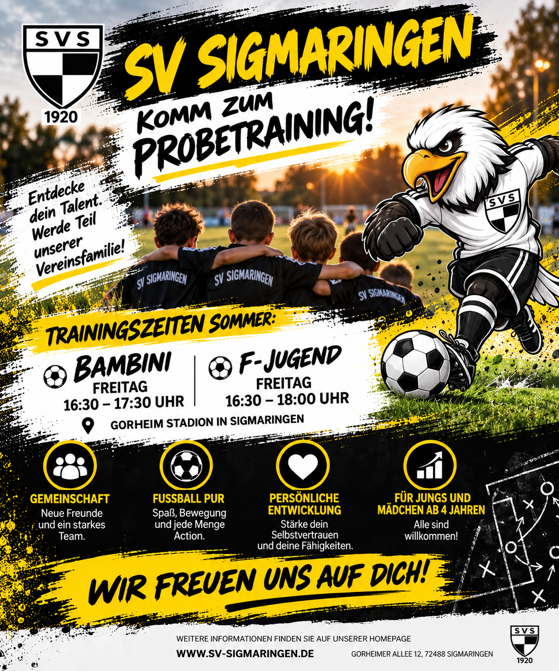 Probetraining Sommer